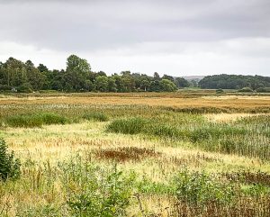 Gribskovlandliggerforbund-17